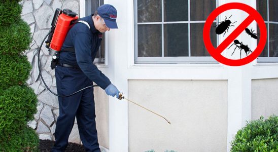 Aybastı Akrep İlaçlama böcek ilaçlama ve haşere kontrolü — ilaclama-tr.com